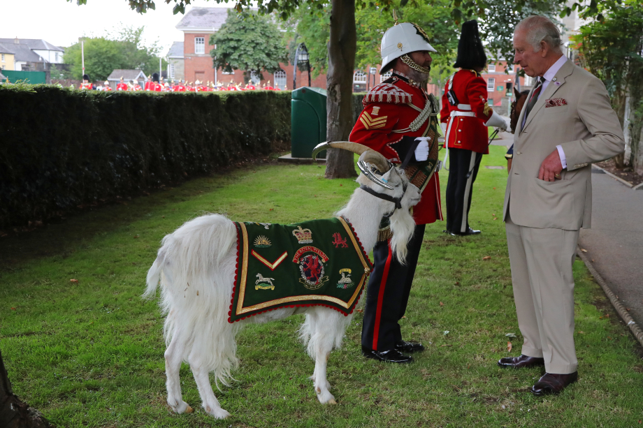 The King meets the 106 Brigade's mascot
