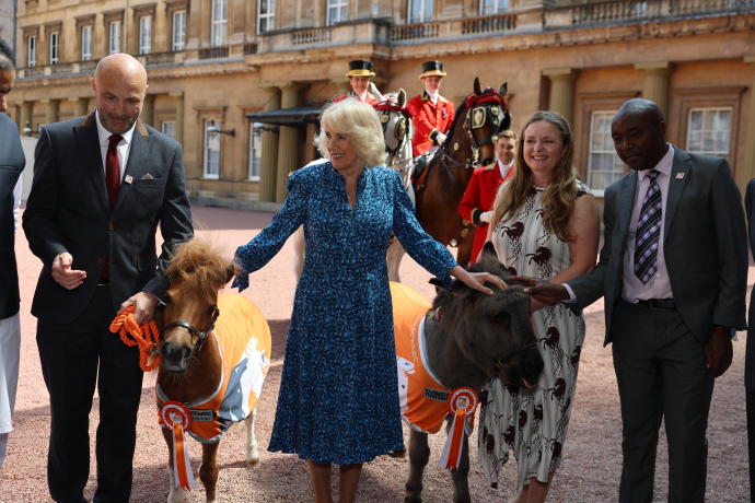 Queen Camilla poses for a group photo with guests and mini ponies as she hosts a reception at Buckingham Palace in London, to mark the 90th anniversary of Brooke, a charity dedicated to improving the lives of working horses, donkeys, and mules.