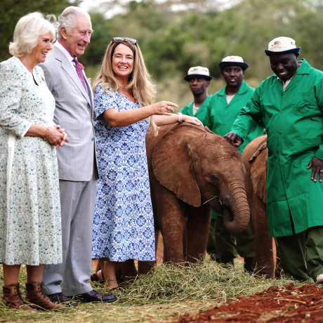 The King and Queen at Sheldrick Wildlife Trust Elephant Orphanage