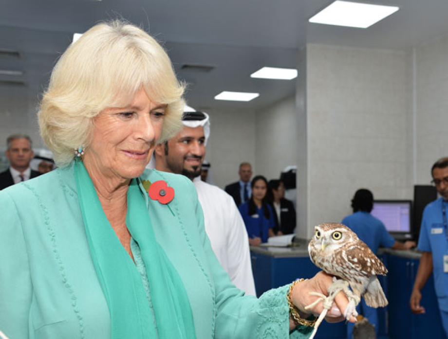 The Duchess of Cornwall in the UAE